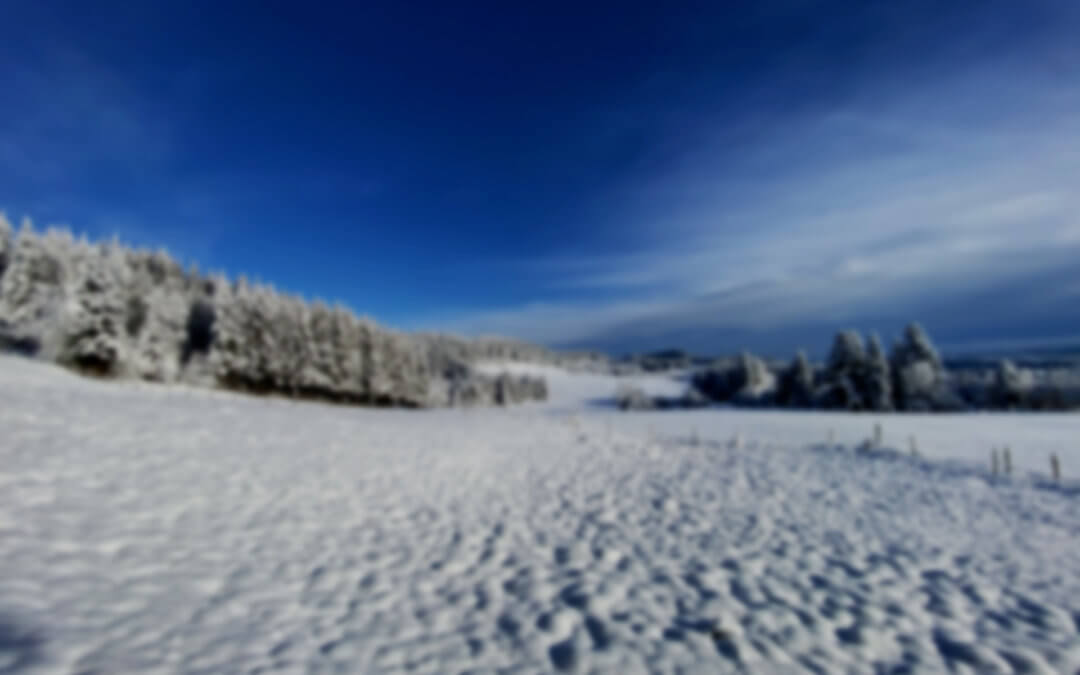 LA NEIGE