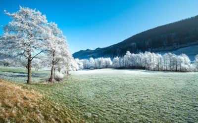 Haut-Jura : Le thermomètre passe de -8°C à +20°C aux Prés-de-Valfin (39) !