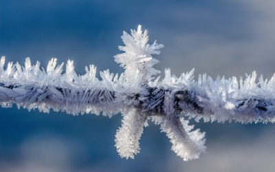 Ce Vendredi : réveil glacial en prévisions dans le Haut-Doubs et Haut-Jura ; jusqu’à -10/-20°C