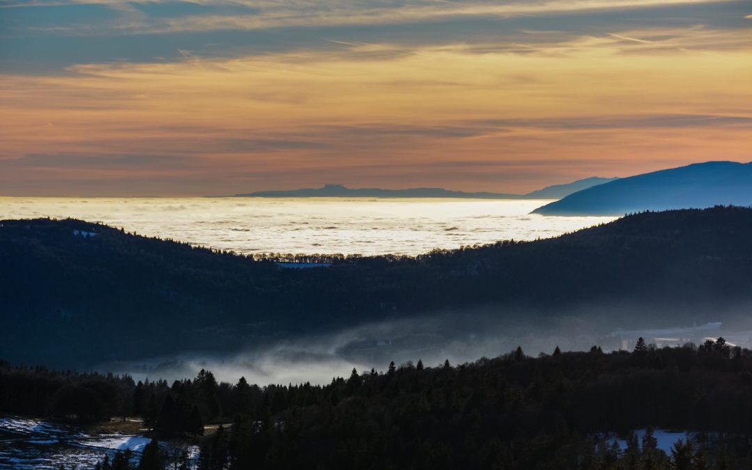 Nouvel an : +21,2°C à Etalans (25), du jamais vu au mois de Janvier en Franche-Comté…