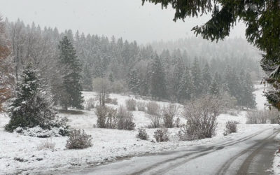 🔴 JURA : Les premières neiges au sol prévues ce mardi 27 septembre dès 1.400m d’altitude