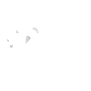 PTIT GIBUS FM